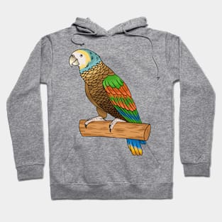 Saint Vincent amazon bird cartoon illustration Hoodie